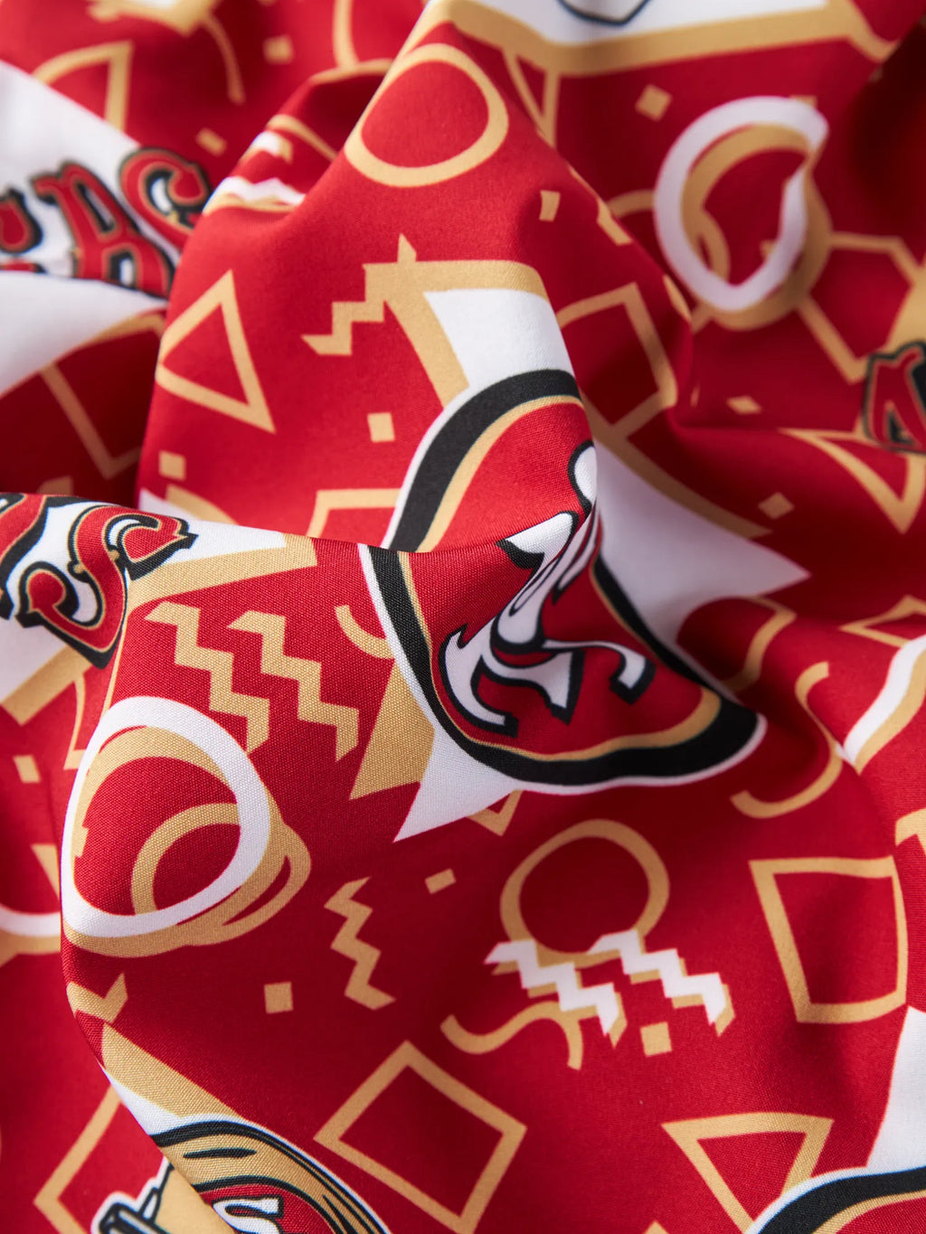 The 49ers Game Day Fit  5.5"  (Classic Lined Swim)