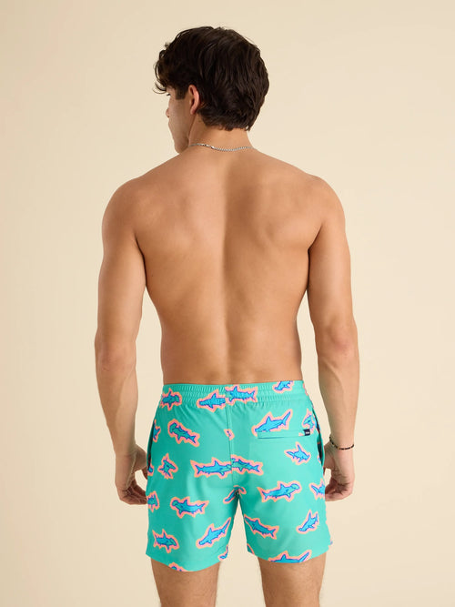 The Apex Swimmers 5.5" (Classic Swim Trunk)