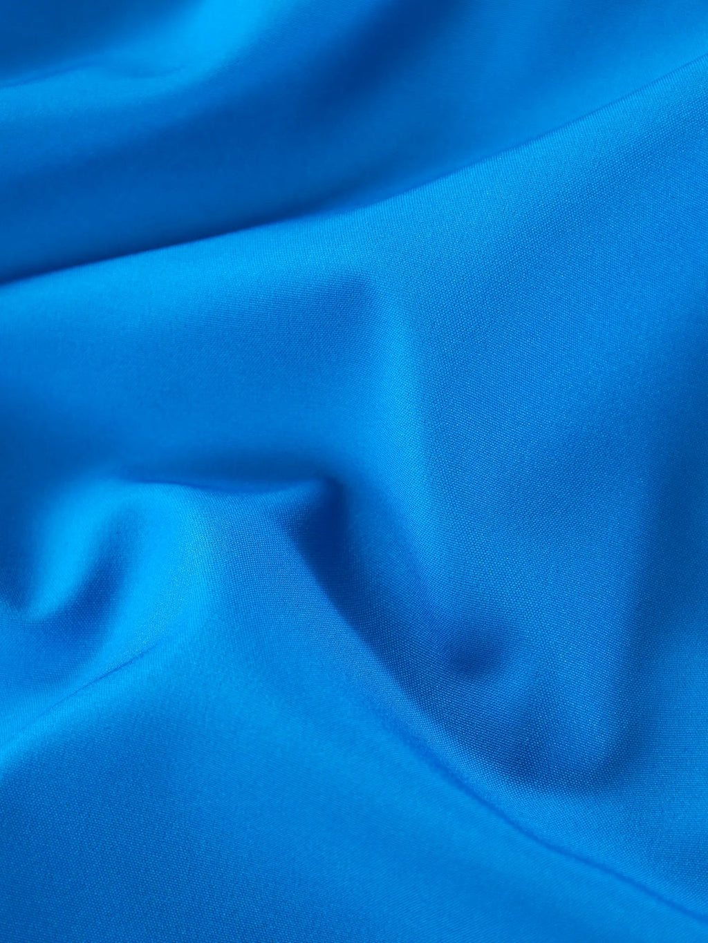 The Secret Lions 5.5" (Classic Lined Swim Trunks)