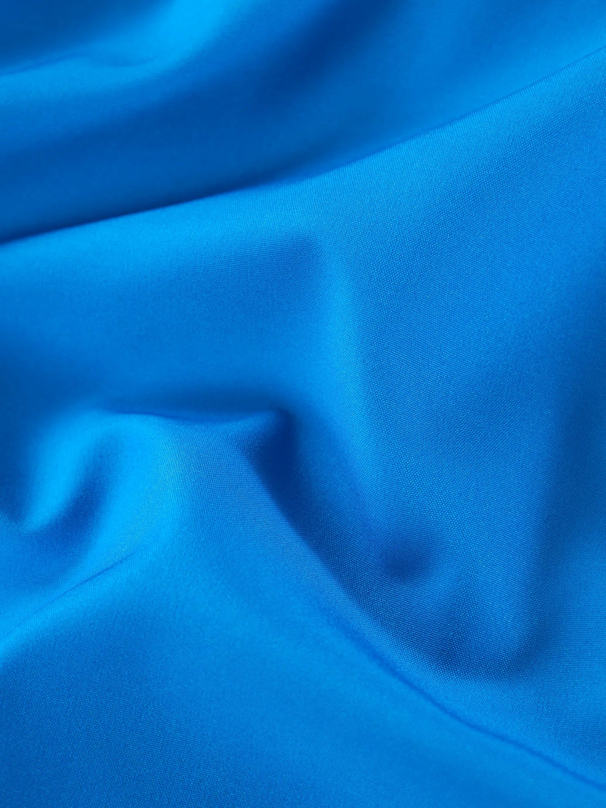 The Secret Lions 5.5" (Classic Lined Swim Trunks)