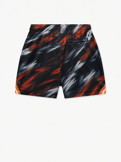 The Color Blitz Bears (Boys Mesh Shorts)