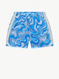 The Groovy With It Lions (Mesh Short)