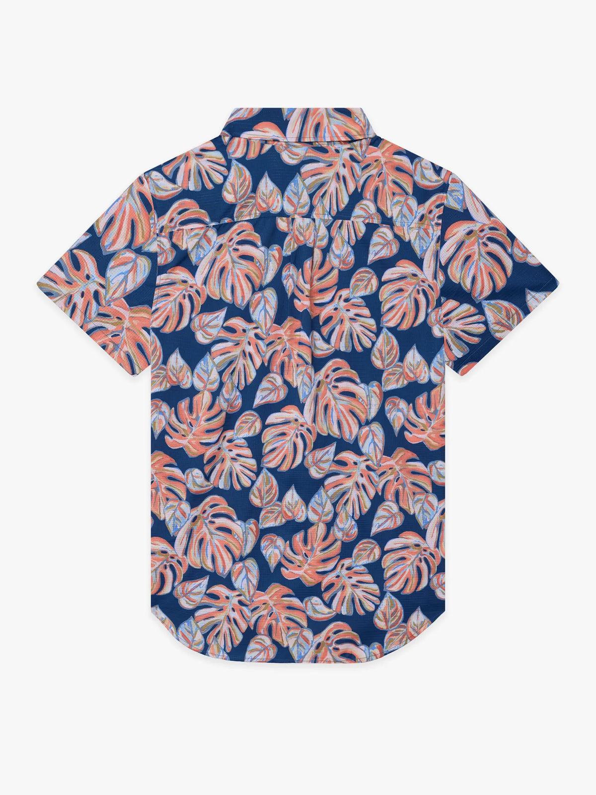 The Variegated (Breezetech)