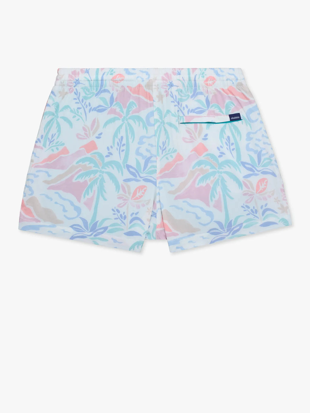 The Washed Ashores 4" (Classic Lined Swim Trunk)
